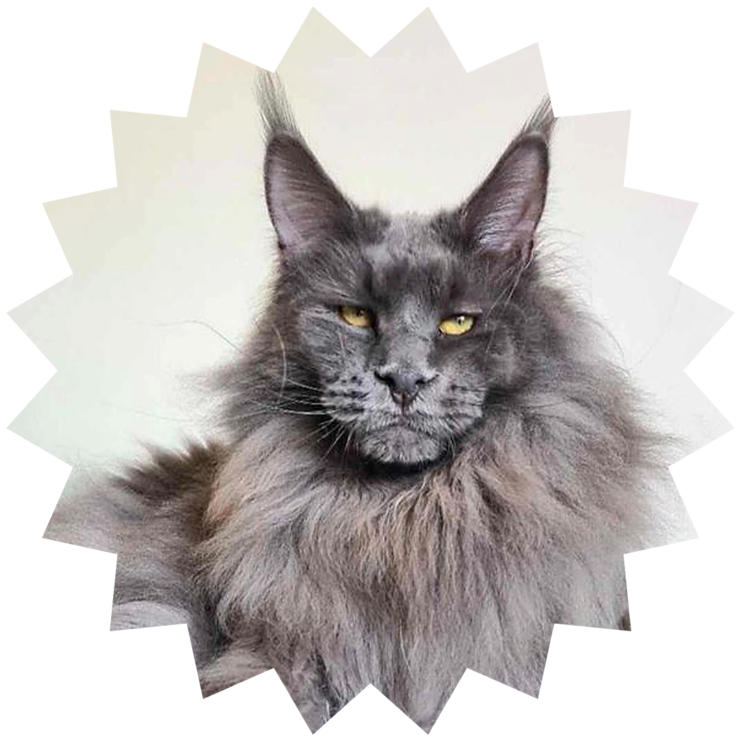 Ragnar